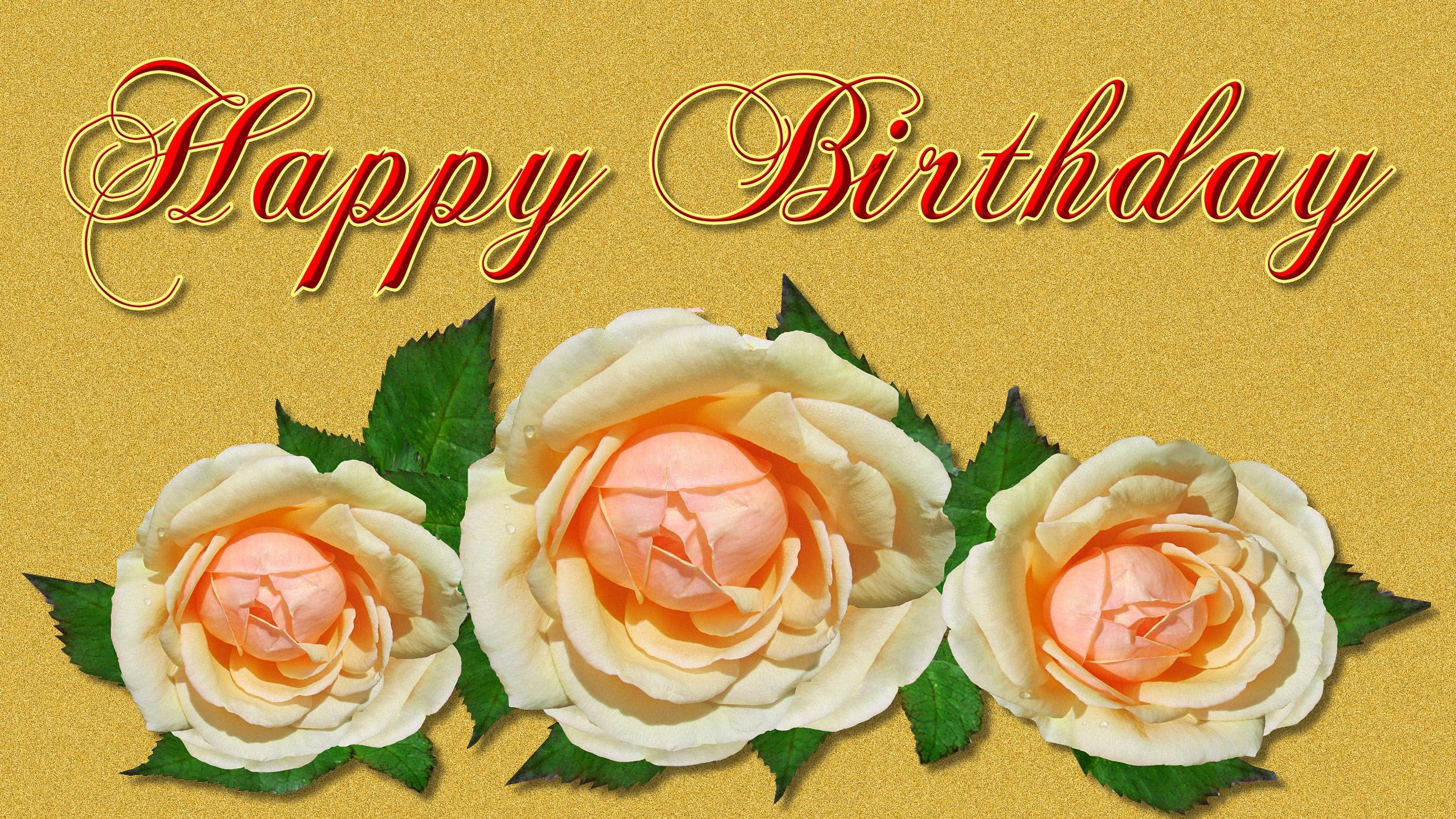 Happy Birthday Wallpaper Kostenlos Rosen