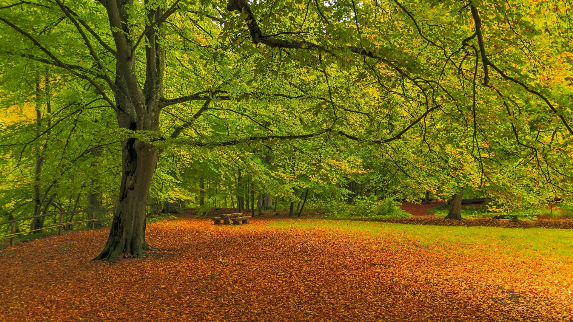 Computer Hintergrundbilder Hd Herbst