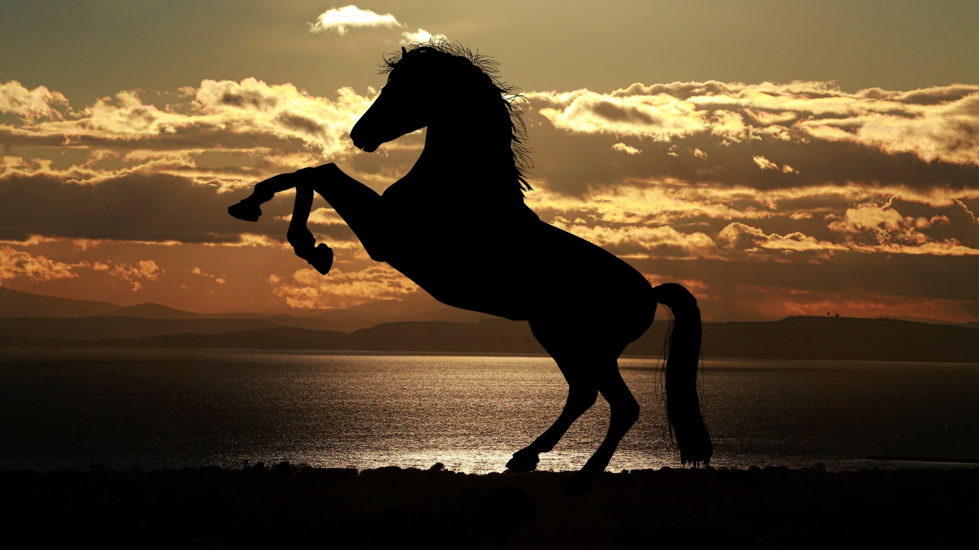 Hintergrundbilder Tiere Sonnenuntergang Pferde