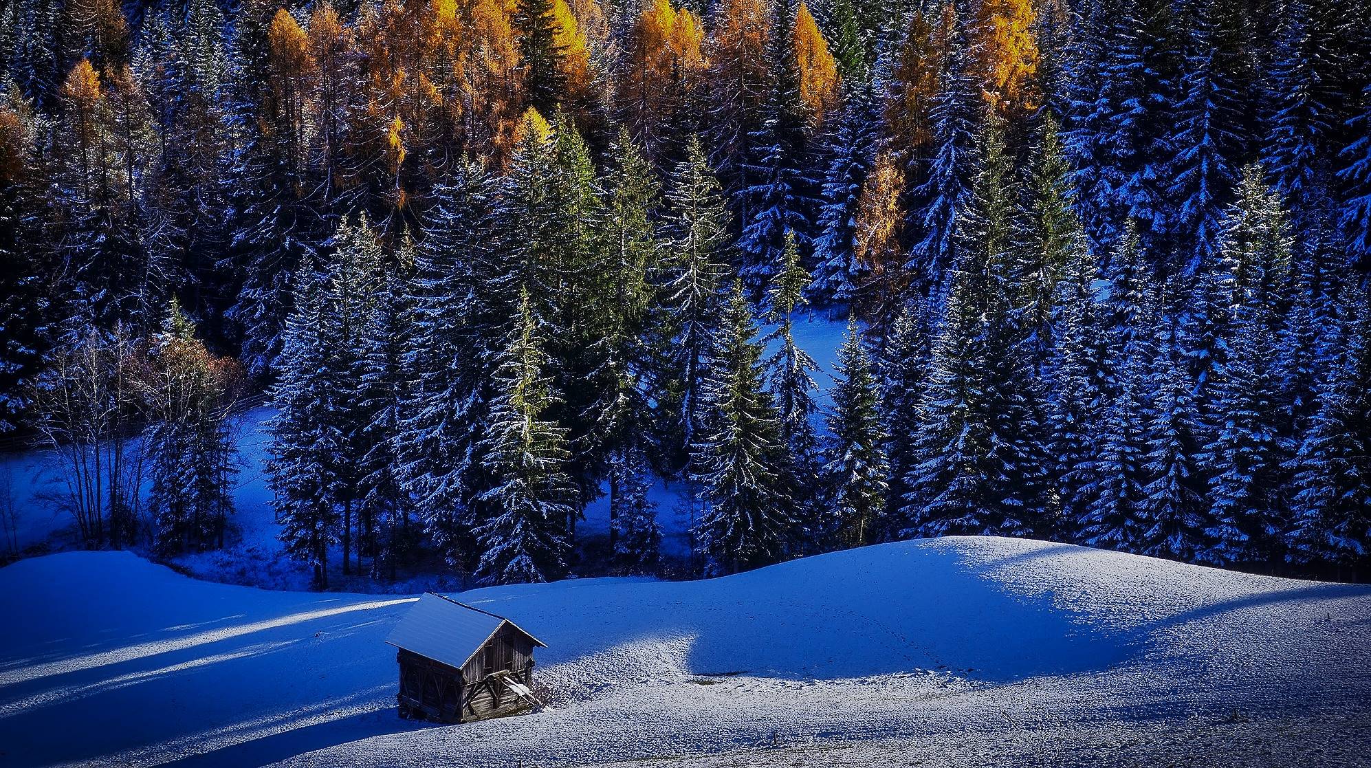 Featured image of post Hintergrundbild Natur Winter Das kostenlose hochaufl sende foto von winter natur schnee weihnachten