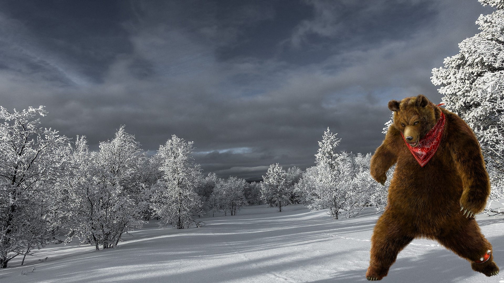 Lustige Hintergrundbilder Tiere Winter