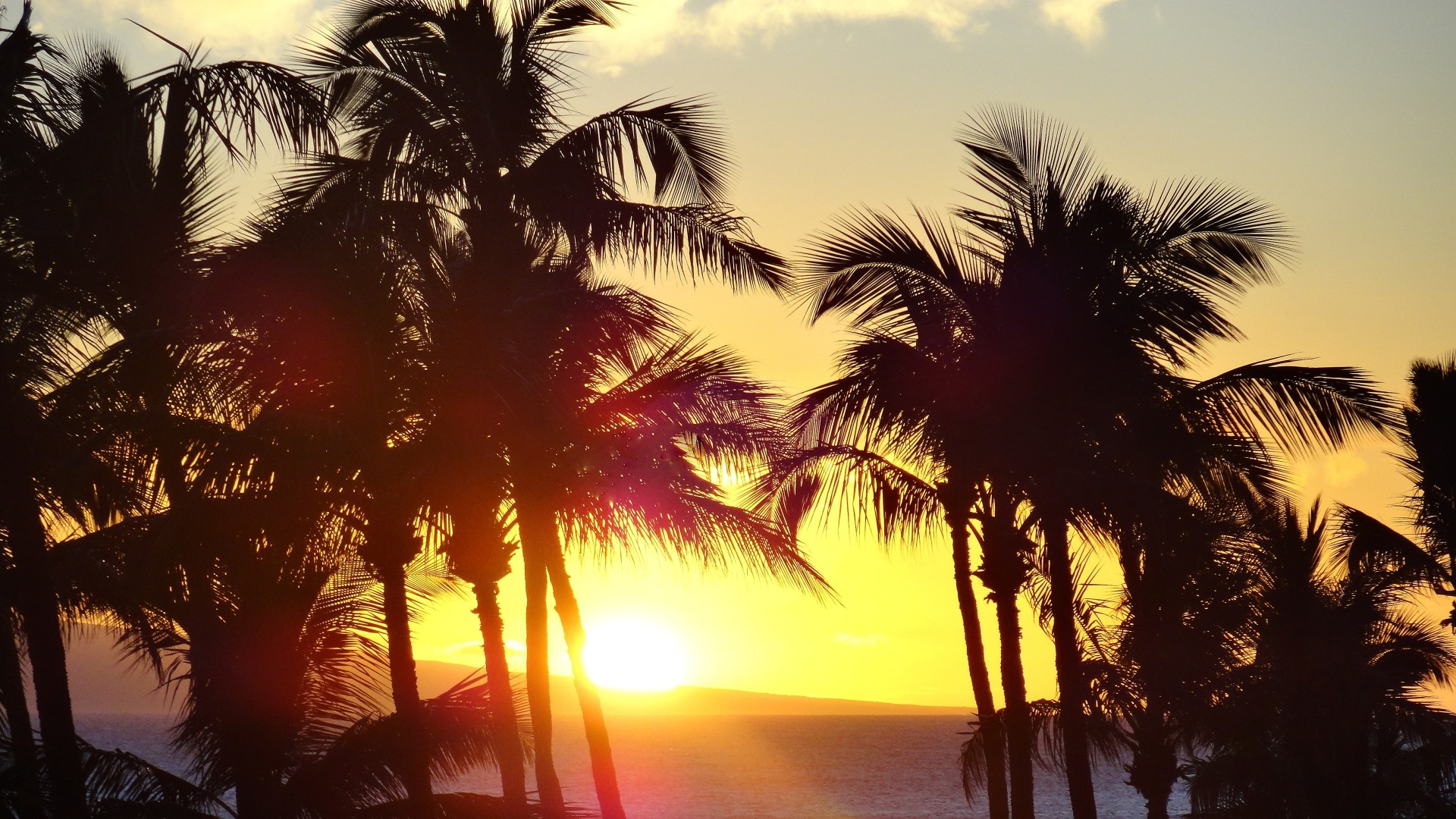 Sonnenuntergang Am Strand Bilder